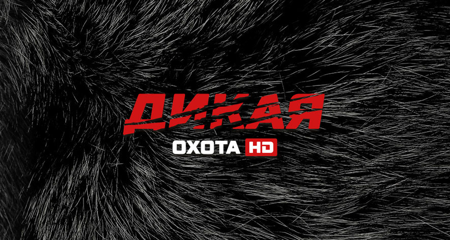 Дикая охота